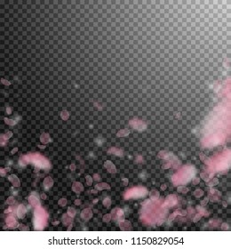 Sakura petals falling down. Romantic pink flowers falling rain. Flying petals on transparent square background. Love, romance concept. Perfect wedding invitation.