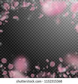 Sakura petals falling down. Romantic pink flowers falling rain. Flying petals on transparent square background. Love, romance concept. Pleasing wedding invitation.