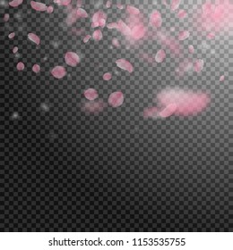 Sakura petals falling down. Romantic pink flowers gradient. Flying petals on transparent square background. Love, romance concept. Fantastic wedding invitation.