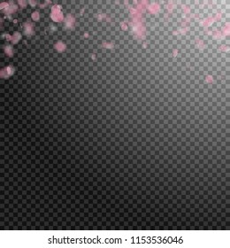 Sakura petals falling down. Romantic pink flowers gradient. Flying petals on transparent square background. Love, romance concept. Classy wedding invitation.