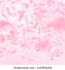 Sakura petals falling down. Romantic pink flowers gradient. Flying petals on pink square background. Love, romance concept. Shapely wedding invitation.