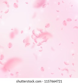 Sakura petals falling down. Romantic pink flowers explosion. Flying petals on pink square background. Love, romance concept. Elegant wedding invitation.