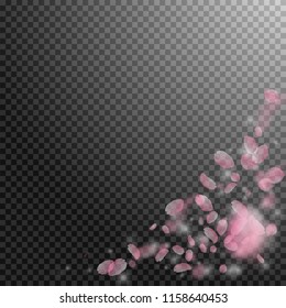 Sakura petals falling down. Romantic pink flowers corner. Flying petals on transparent square background. Love, romance concept. Awesome wedding invitation.