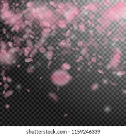 Sakura petals falling down. Romantic pink flowers falling rain. Flying petals on transparent square background. Love, romance concept. Majestic wedding invitation.