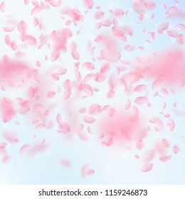 Sakura petals falling down. Romantic pink flowers gradient. Flying petals on blue sky square background. Love, romance concept. Pleasing wedding invitation.