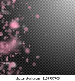 Sakura petals falling down. Romantic pink flowers gradient. Flying petals on transparent square background. Love, romance concept. Bewitching wedding invitation.