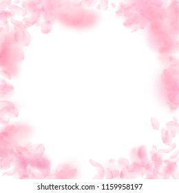 Sakura petals falling down. Romantic pink flowers vignette. Flying petals on white square background. Love, romance concept. Enchanting wedding invitation.