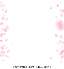 Sakura petals falling down. Romantic pink flowers borders. Flying petals on white square background. Love, romance concept. Pleasant wedding invitation.