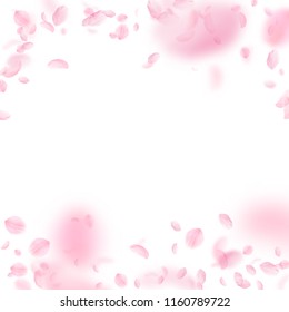 Sakura petals falling down. Romantic pink flowers falling rain. Flying petals on white square background. Love, romance concept. Lovely wedding invitation.