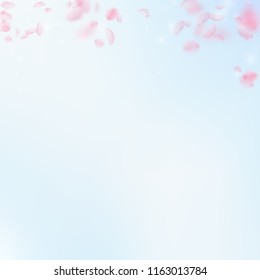 Sakura petals falling down. Romantic pink flowers gradient. Flying petals on blue sky square background. Love, romance concept. Unequaled wedding invitation.