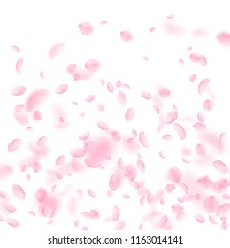Sakura petals falling down. Romantic pink flowers gradient. Flying petals on white square background. Love, romance concept. Cute wedding invitation.