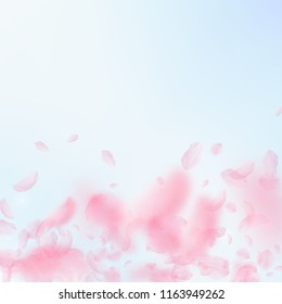 Sakura petals falling down. Romantic pink flowers gradient. Flying petals on blue sky square background. Love, romance concept. Splendid wedding invitation.