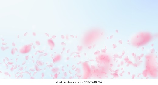 Sakura petals falling down. Romantic pink flowers gradient. Flying petals on blue sky wide background. Love, romance concept. Memorable wedding invitation.