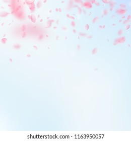 Sakura petals falling down. Romantic pink flowers gradient. Flying petals on blue sky square background. Love, romance concept. Charming wedding invitation.