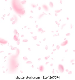 Sakura petals falling down. Romantic pink flowers falling rain. Flying petals on white square background. Love, romance concept. Mesmeric wedding invitation.