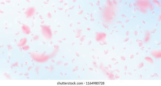 Sakura petals falling down. Romantic pink flowers falling rain. Flying petals on blue sky wide background. Love, romance concept. Lively wedding invitation.