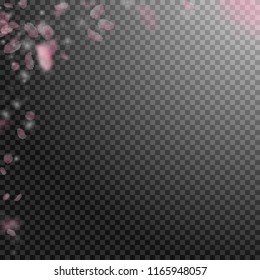 Sakura petals falling down. Romantic pink flowers corner. Flying petals on transparent square background. Love, romance concept. Unique wedding invitation.