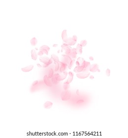 Sakura petals falling down. Romantic pink flowers explosion. Flying petals on white square background. Love, romance concept. Energetic wedding invitation.
