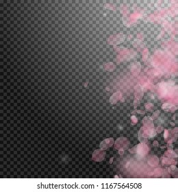 Sakura petals falling down. Romantic pink flowers gradient. Flying petals on transparent square background. Love, romance concept. Bold wedding invitation.