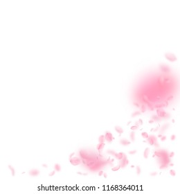 Sakura petals falling down. Romantic pink flowers corner. Flying petals on white square background. Love, romance concept. Valuable wedding invitation.