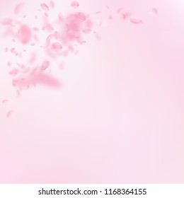 Sakura petals falling down. Romantic pink flowers corner. Flying petals on pink square background. Love, romance concept. Dazzling wedding invitation.