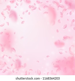 Sakura petals falling down. Romantic pink flowers vignette. Flying petals on pink square background. Love, romance concept. Ideal wedding invitation.