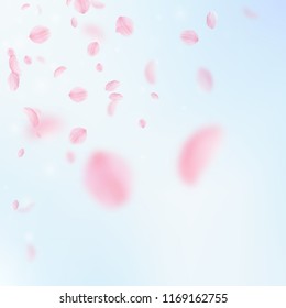 Sakura petals falling down. Romantic pink flowers corner. Flying petals on blue sky square background. Love, romance concept. Appealing wedding invitation.