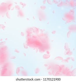 Sakura petals falling down. Romantic pink flowers explosion. Flying petals on blue sky square background. Love, romance concept. Classic wedding invitation.