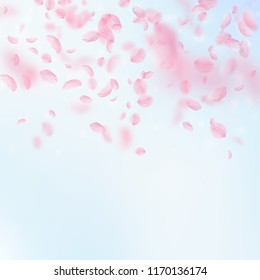 Sakura petals falling down. Romantic pink flowers gradient. Flying petals on blue sky square background. Love, romance concept. Outstanding wedding invitation.