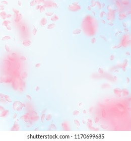 Sakura petals falling down. Romantic pink flowers vignette. Flying petals on blue sky square background. Love, romance concept. Extraordinary wedding invitation.