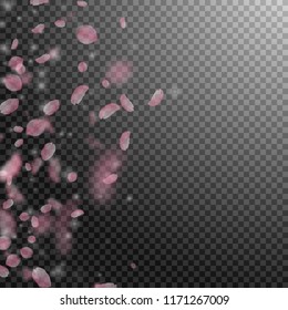 Sakura petals falling down. Romantic pink flowers gradient. Flying petals on transparent square background. Love, romance concept. Beautiful wedding invitation.