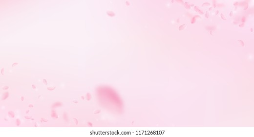 Sakura petals falling down. Romantic pink flowers corners. Flying petals on pink wide background. Love, romance concept. Likable wedding invitation.