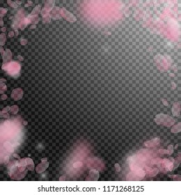 Sakura petals falling down. Romantic pink flowers vignette. Flying petals on transparent square background. Love, romance concept. Modern wedding invitation.