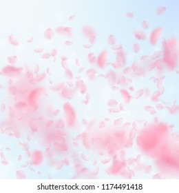 Sakura petals falling down. Romantic pink flowers gradient. Flying petals on blue sky square background. Love, romance concept. Ravishing wedding invitation.