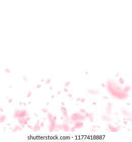 Sakura petals falling down. Romantic pink flowers gradient. Flying petals on white square background. Love, romance concept. Unique wedding invitation.