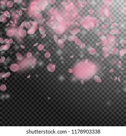 Sakura petals falling down. Romantic pink flowers falling rain. Flying petals on transparent square background. Love, romance concept. Magnificent wedding invitation.