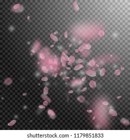 Sakura petals falling down. Romantic pink flowers explosion. Flying petals on transparent square background. Love, romance concept. Ideal wedding invitation.