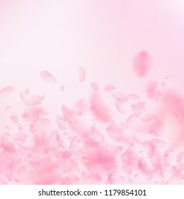 Sakura petals falling down. Romantic pink flowers gradient. Flying petals on pink square background. Love, romance concept. Stunning wedding invitation.