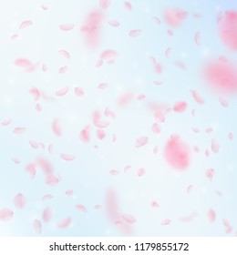 Sakura-Blütenblätter fallen ab. Romantische rosa Blumen fallen Regen. Fliegende Blütenblätter auf blauem, quadratischem Hintergrund. Liebe, Liebeskonzept. Schöne Hochzeitseinladung.