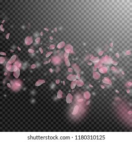 Sakura petals falling down. Romantic pink flowers falling rain. Flying petals on transparent square background. Love, romance concept. Nice wedding invitation.