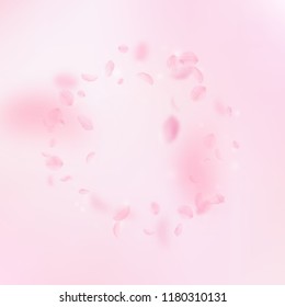 Sakura petals falling down. Romantic pink flowers frame. Flying petals on pink square background. Love, romance concept. Pleasant wedding invitation.