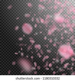 Sakura petals falling down. Romantic pink flowers gradient. Flying petals on transparent square background. Love, romance concept. Alive wedding invitation.