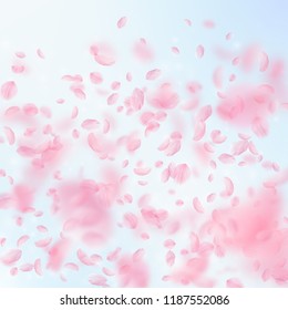 Sakura petals falling down. Romantic pink flowers gradient. Flying petals on blue sky square background. Love, romance concept. Resplendent wedding invitation.