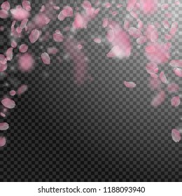 Sakura petals falling down. Romantic pink flowers falling rain. Flying petals on transparent square background. Love, romance concept. Outstanding wedding invitation.