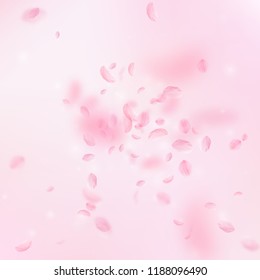 Sakura petals falling down. Romantic pink flowers explosion. Flying petals on pink square background. Love, romance concept. Fair wedding invitation.
