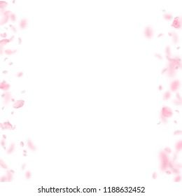Sakura petals falling down. Romantic pink flowers borders. Flying petals on white square background. Love, romance concept. Pleasing wedding invitation.