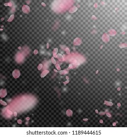 Sakura petals falling down. Romantic pink flowers explosion. Flying petals on transparent square background. Love, romance concept. Fascinating wedding invitation.