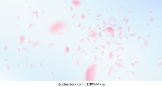 Sakura petals falling down. Romantic pink flowers explosion. Flying petals on blue sky wide background. Love, romance concept. Graceful wedding invitation.