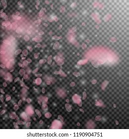 Sakura petals falling down. Romantic pink flowers gradient. Flying petals on transparent square background. Love, romance concept. Elegant wedding invitation.