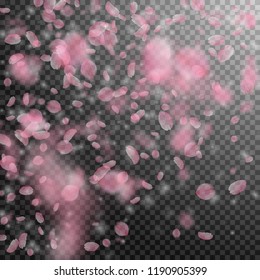Sakura petals falling down. Romantic pink flowers gradient. Flying petals on transparent square background. Love, romance concept. Exceptional wedding invitation.